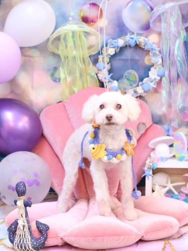 20240827ネネちゃん